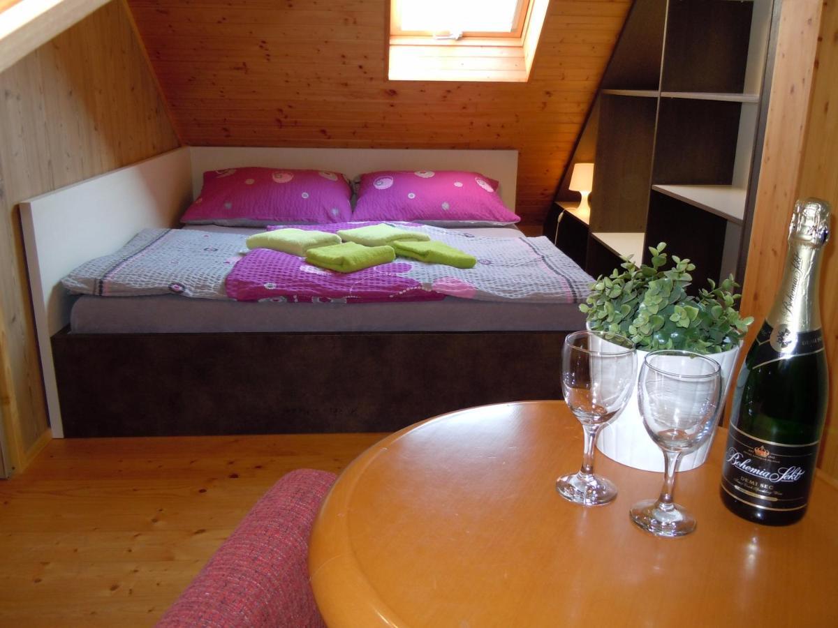 Apartment Wellness Vlckova Eksteriør billede