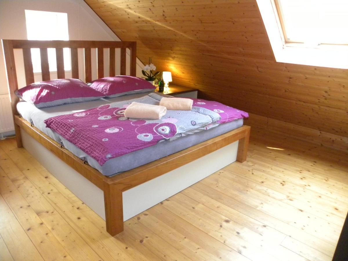 Apartment Wellness Vlckova Eksteriør billede
