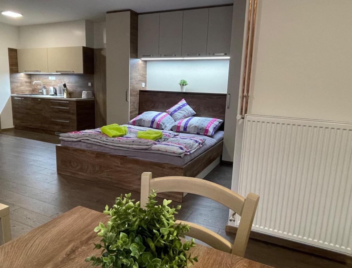 Apartment Wellness Vlckova Eksteriør billede